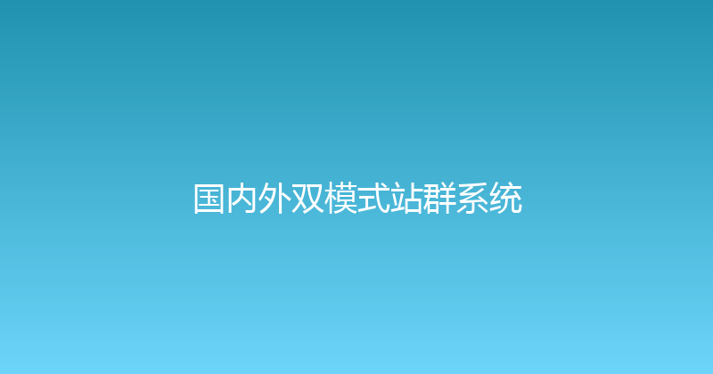 国内外双模式站群系统 封面图