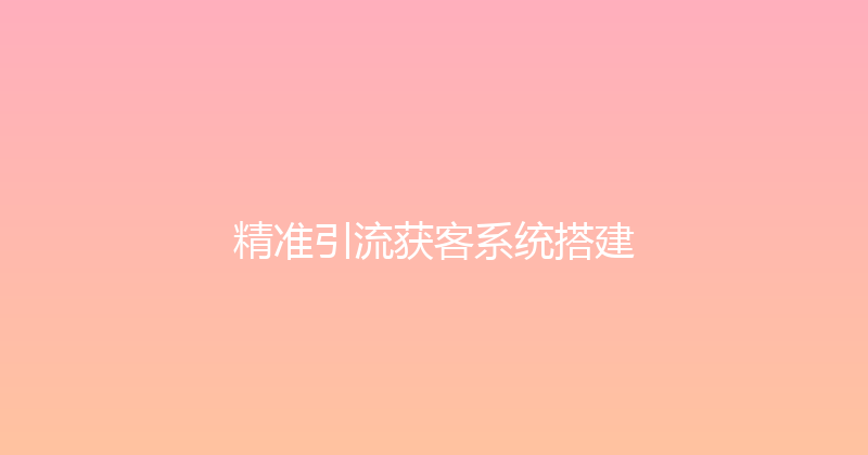 精准引流获客系统搭建 封面图