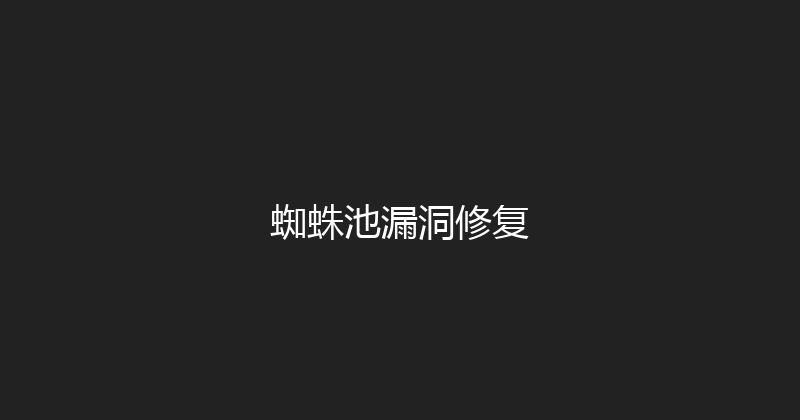 蜘蛛池漏洞修复 封面图